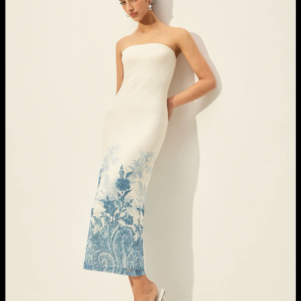 Elegant Cream and Blue Floral dress